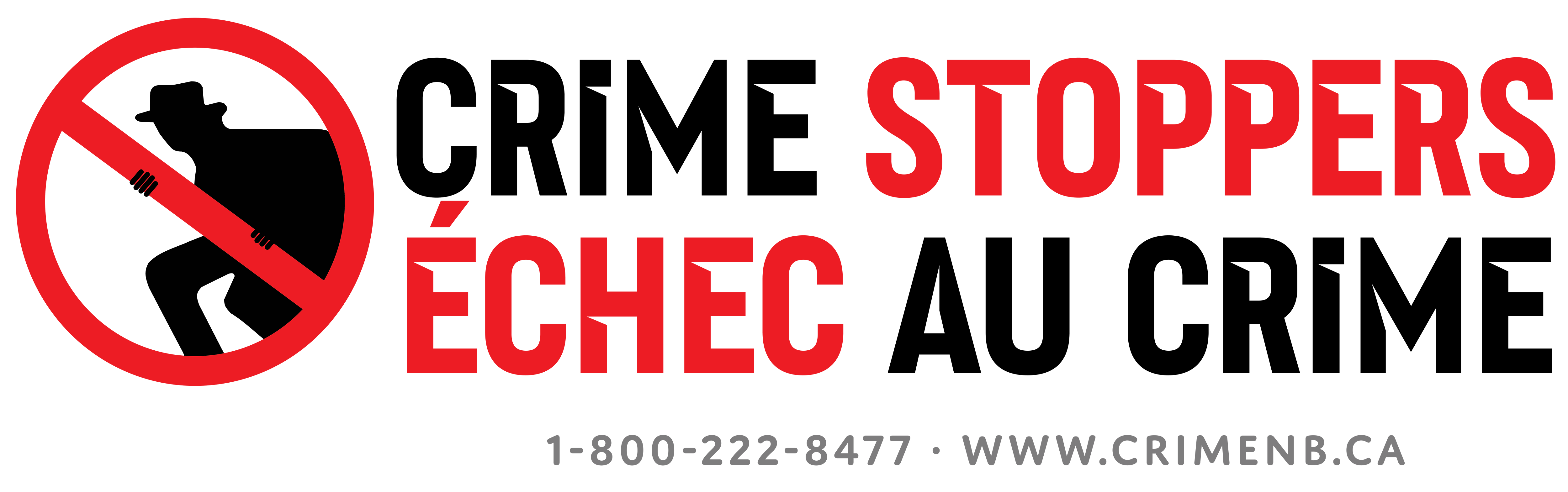 nbcs-ecnb_logo2024_wide_v2_sm